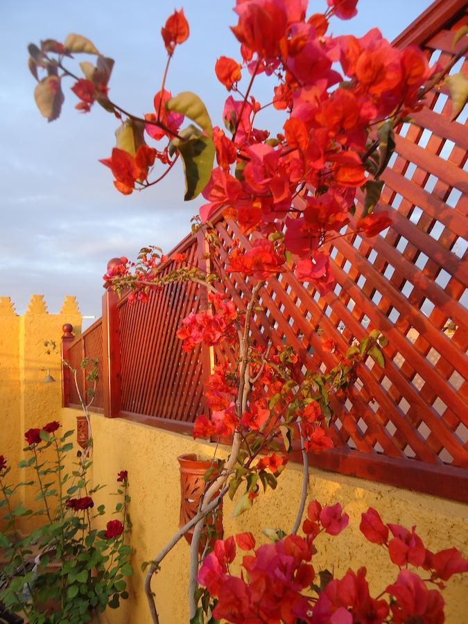 מרקש Riad Aldiana מראה חיצוני תמונה