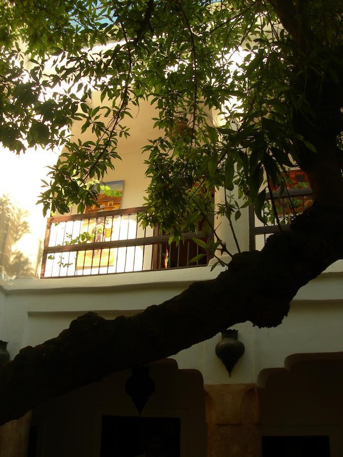 מרקש Riad Aldiana מראה חיצוני תמונה